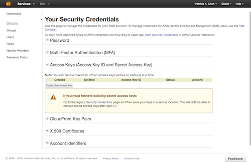 _images/docs_AWS_credentials_page.png